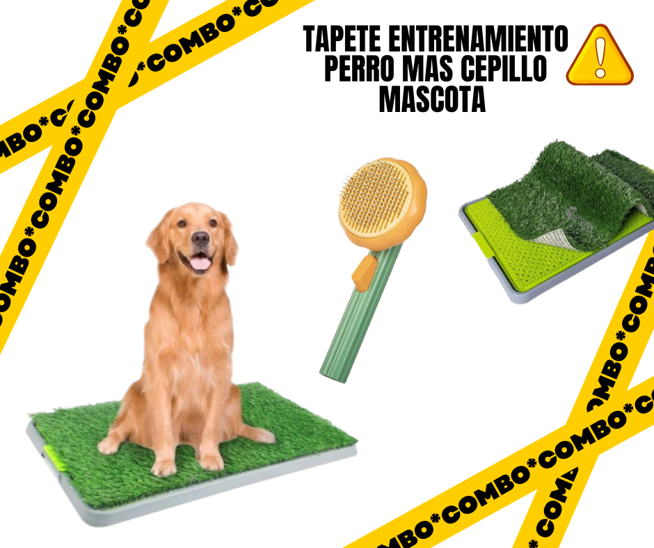 Tapete entrenamiento Perro mas Cepillo
